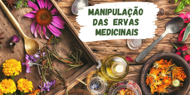 Cuidados Com A Manipulação Das Ervas Medicinais Cnsc 2954